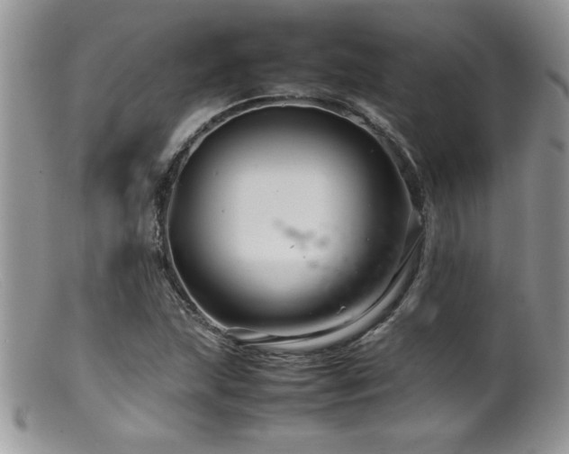 X0000099511215200805151451