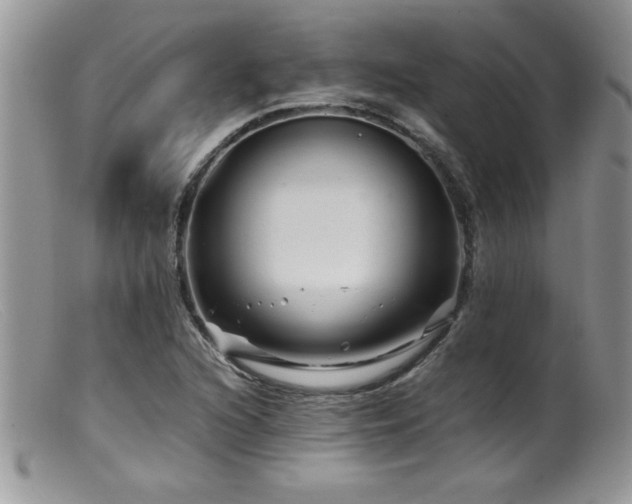 X0000099511216200805151451