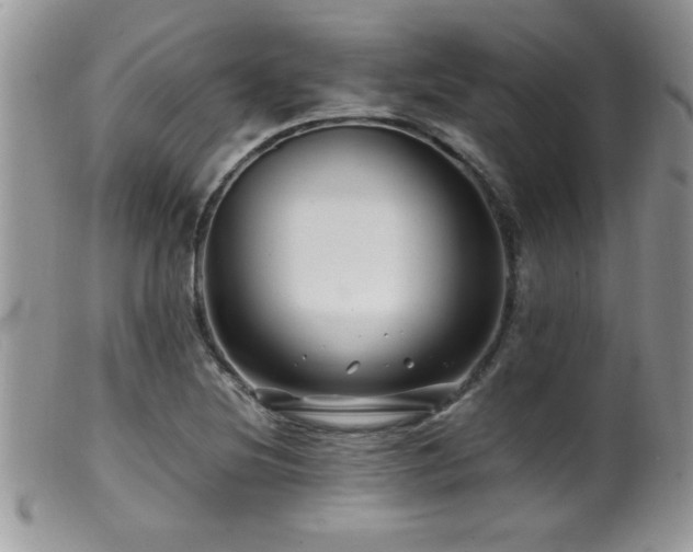 X0000099511220200805151451