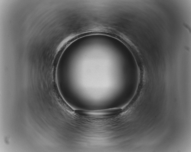 X0000099511222200805151451