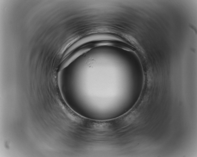 X0000099511225200805151451