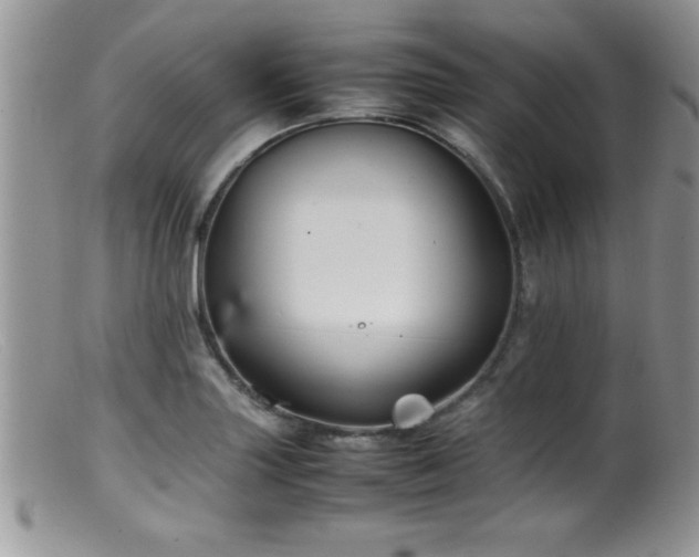 X0000099511227200805151451