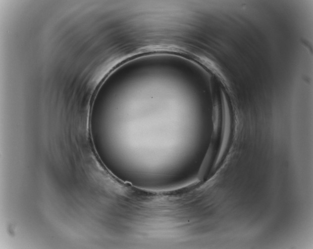 X0000099511228200805151451