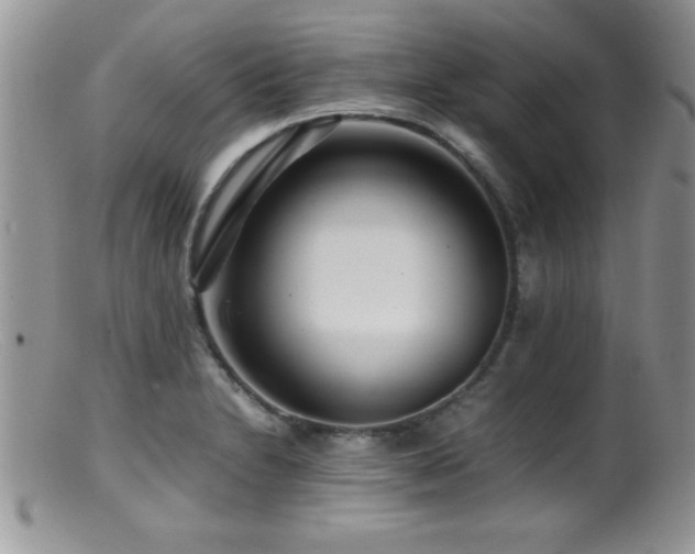 X0000099511230200805151451