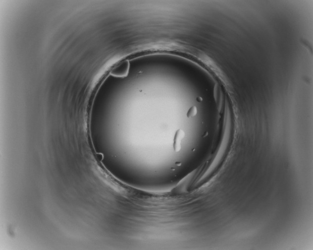 X0000099511232200805151451