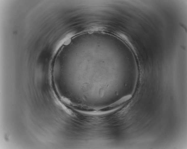X0000099511235200805151451