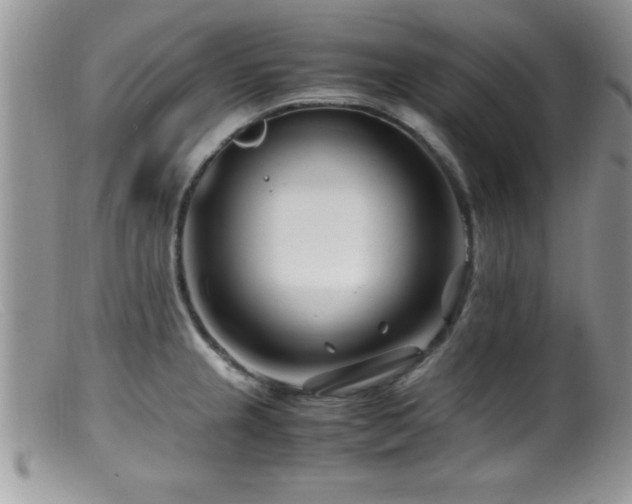 X0000099511237200805151451