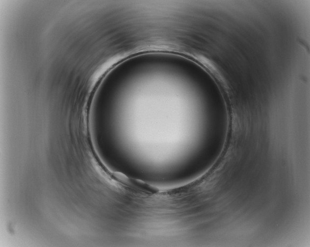 X0000099511238200805151451