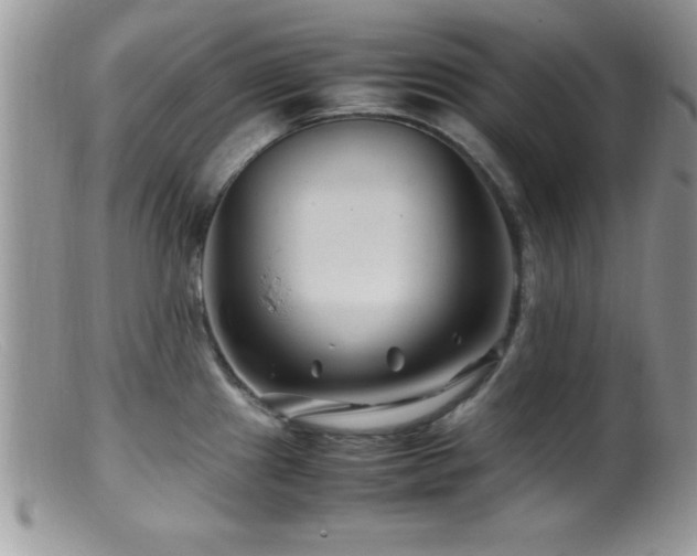 X0000099511241200805151451