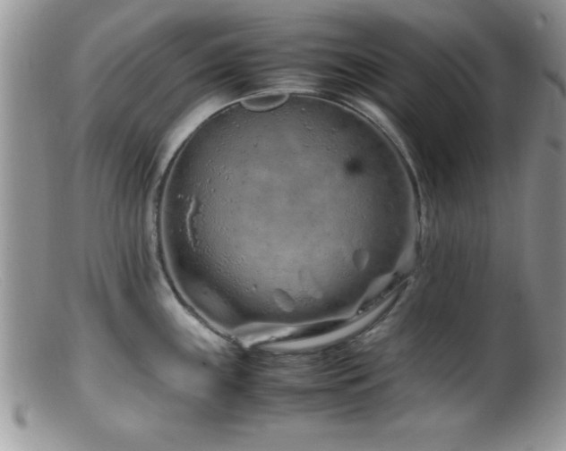 X0000099511243200805151451