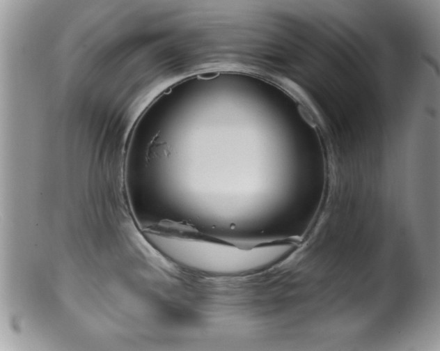 X0000099511244200805151451