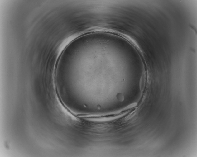 X0000099511247200805151452