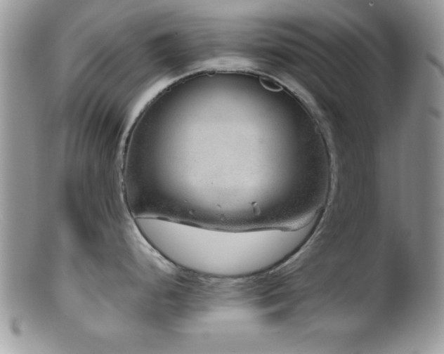X0000099511248200805151452