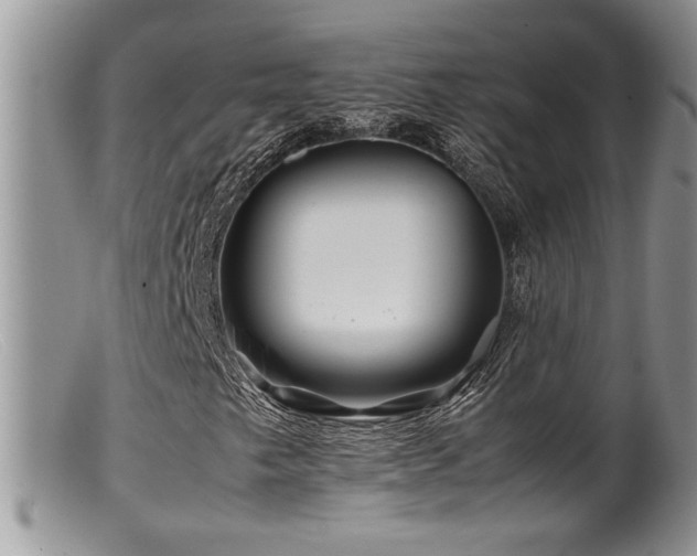 X0000099511249200805151451