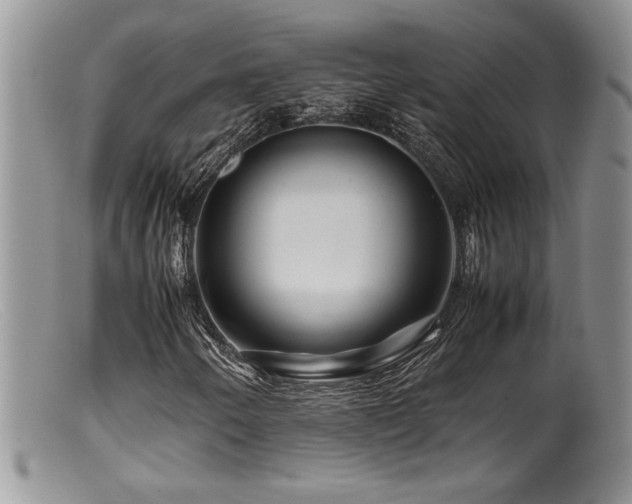 X0000099511250200805151451