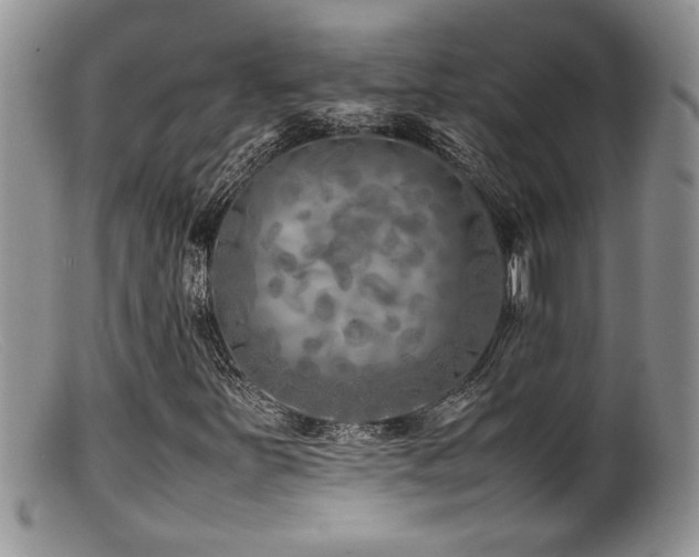 X0000099511251200805151451