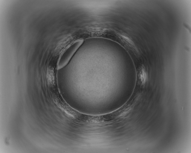 X0000099511252200805151451