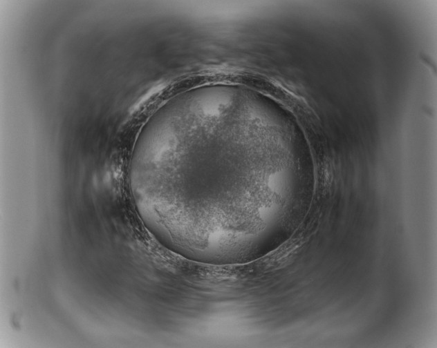 X0000099511254200805151451