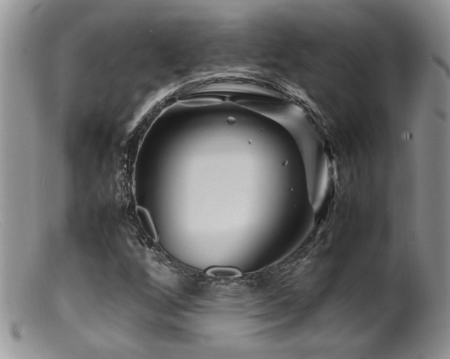X0000099511256200805151451