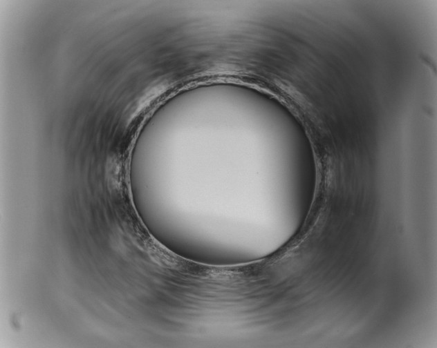 X0000099511258200805151451