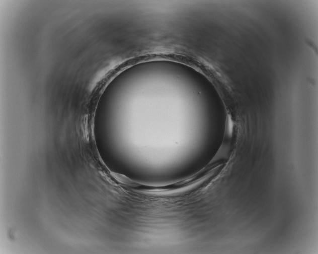 X0000099511262200805151451