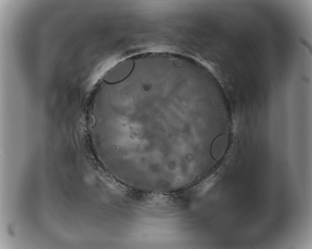 X0000099511263200805151451