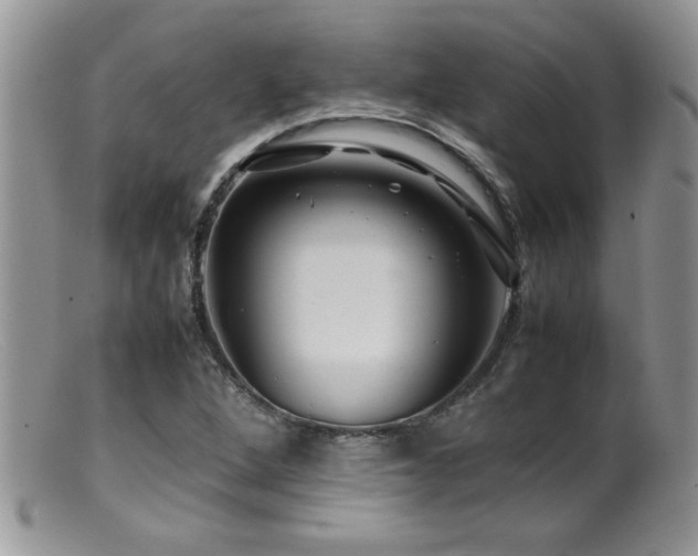 X0000099511264200805151451