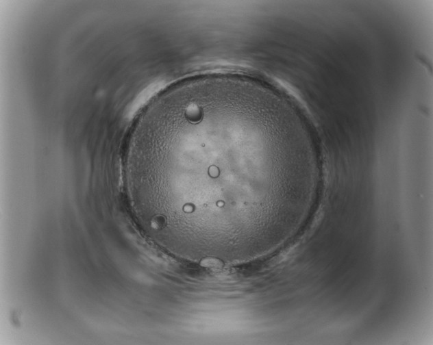 X0000099511267200805151451