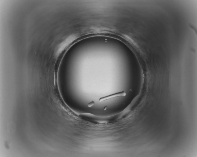 X0000099511269200805151451