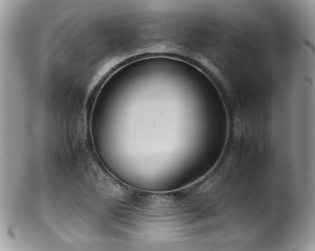 X0000099511270200805151451