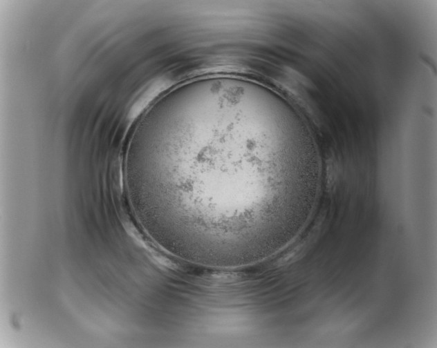 X0000099511274200805151450