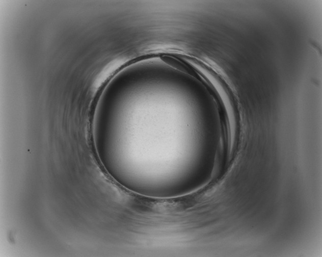 X0000099511277200805151450