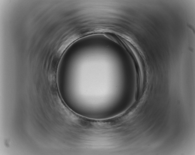 X0000099511281200805151450