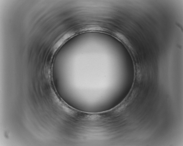 X0000099511282200805151450