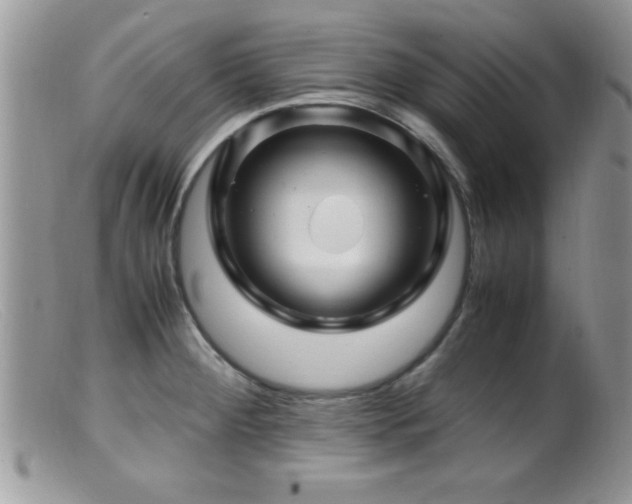 X0000099511284200805151450