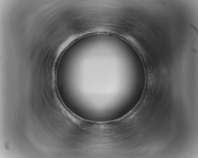 X0000099511286200805151450