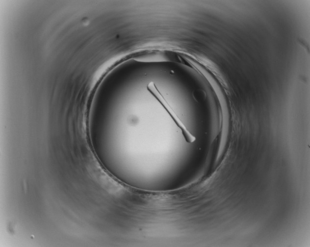 X0000099511288200805151450