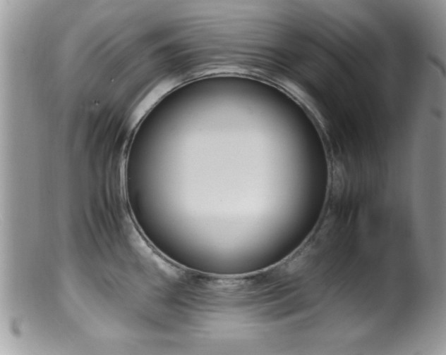 X0000099511290200805151450