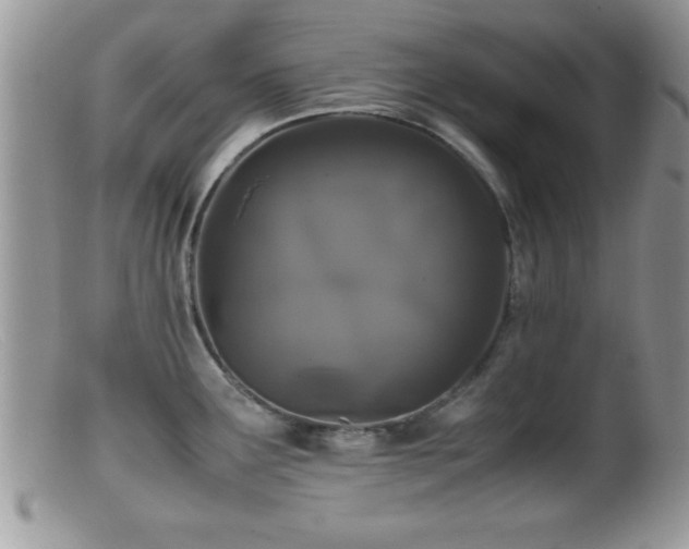 X0000099511291200805151450
