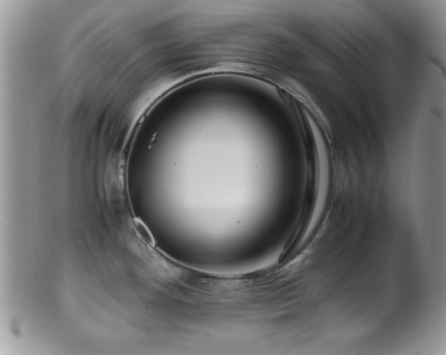 X0000099511292200805151450