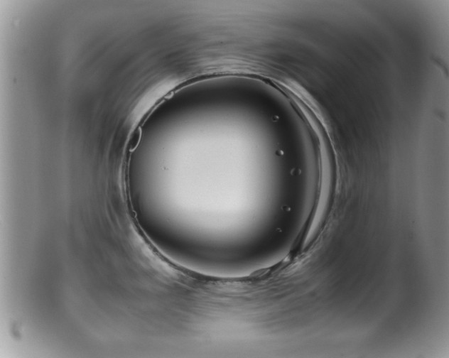 X0000099511293200805151450