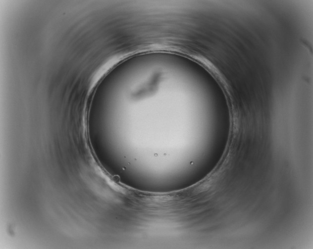 X0000099511294200805151450