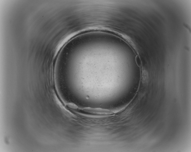 X0000099511295200805151450