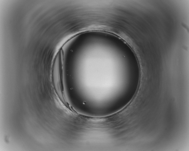 X0000099511296200805151450
