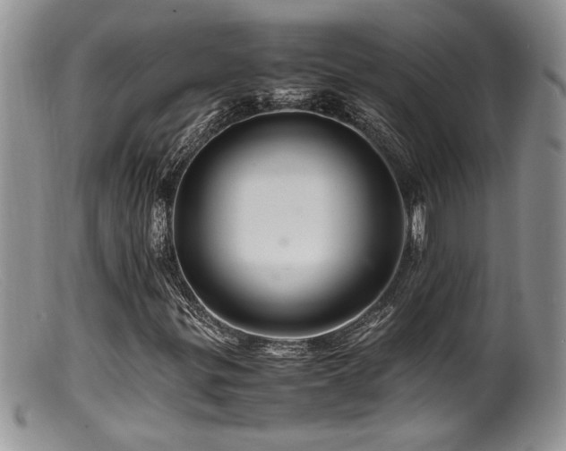 X0000099511299200805151450