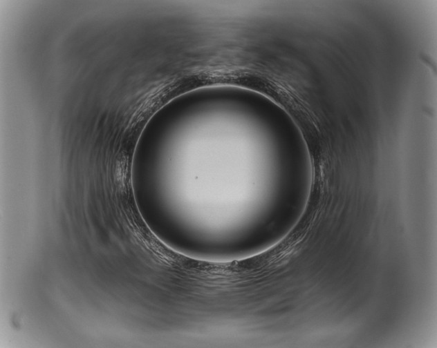X0000099511300200805151450