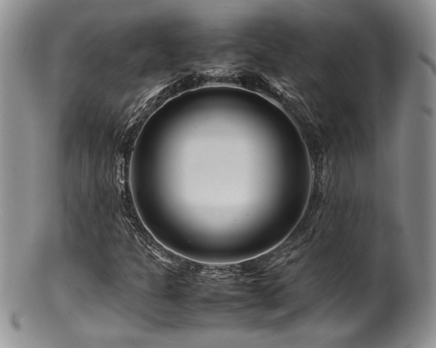 X0000099511301200805151450