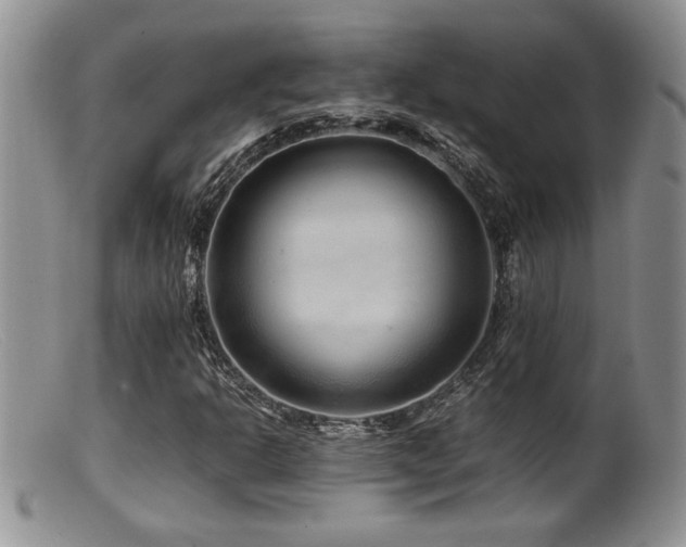 X0000099511302200805151450