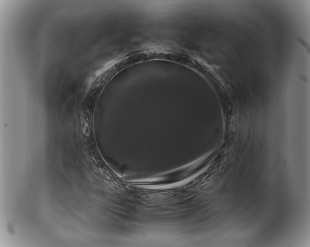 X0000099511303200805151450