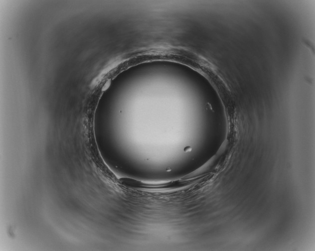 X0000099511304200805151450